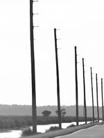 Muse Gallery Highway 12 by Cindy K. Smith