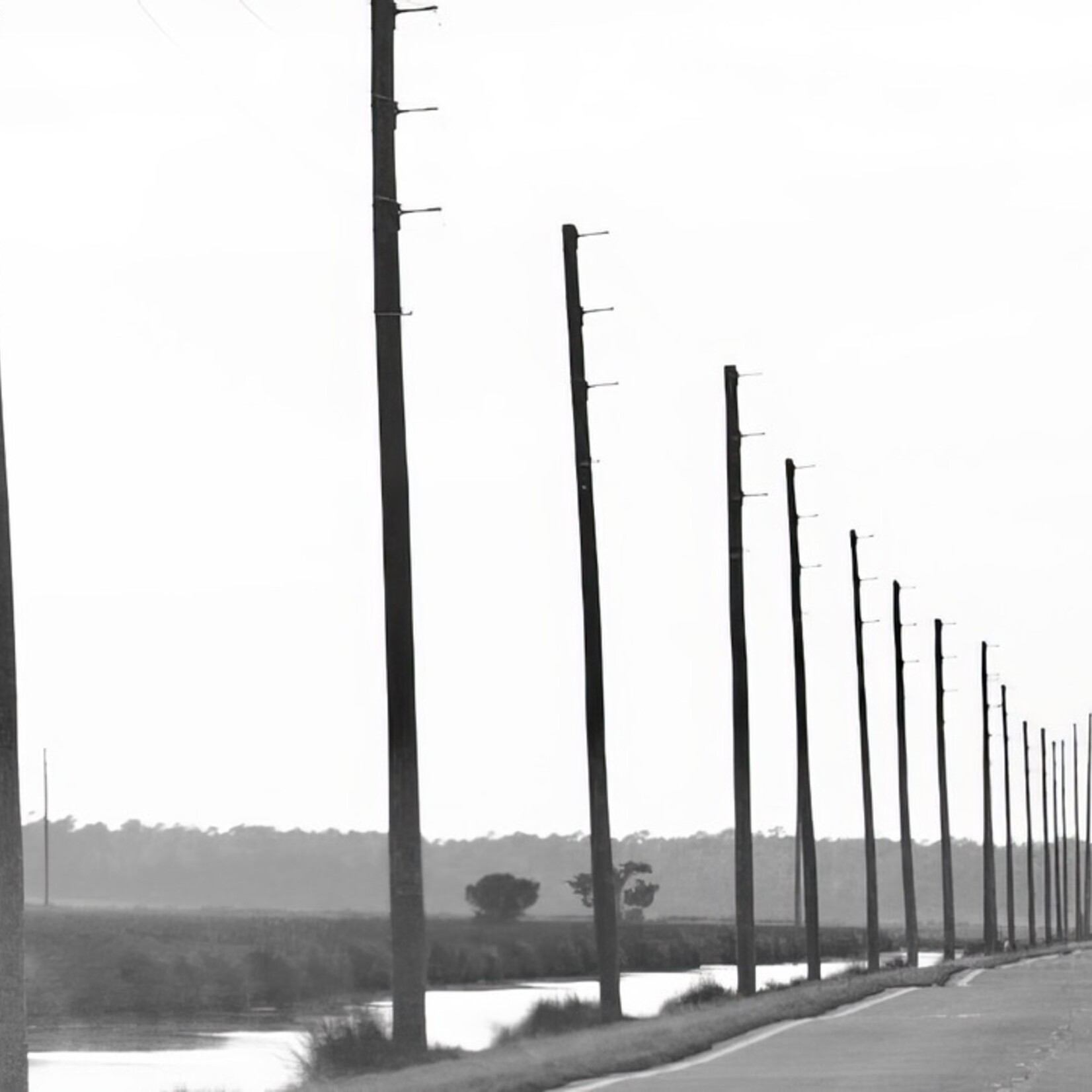 Muse Gallery Highway 12 by Cindy K. Smith