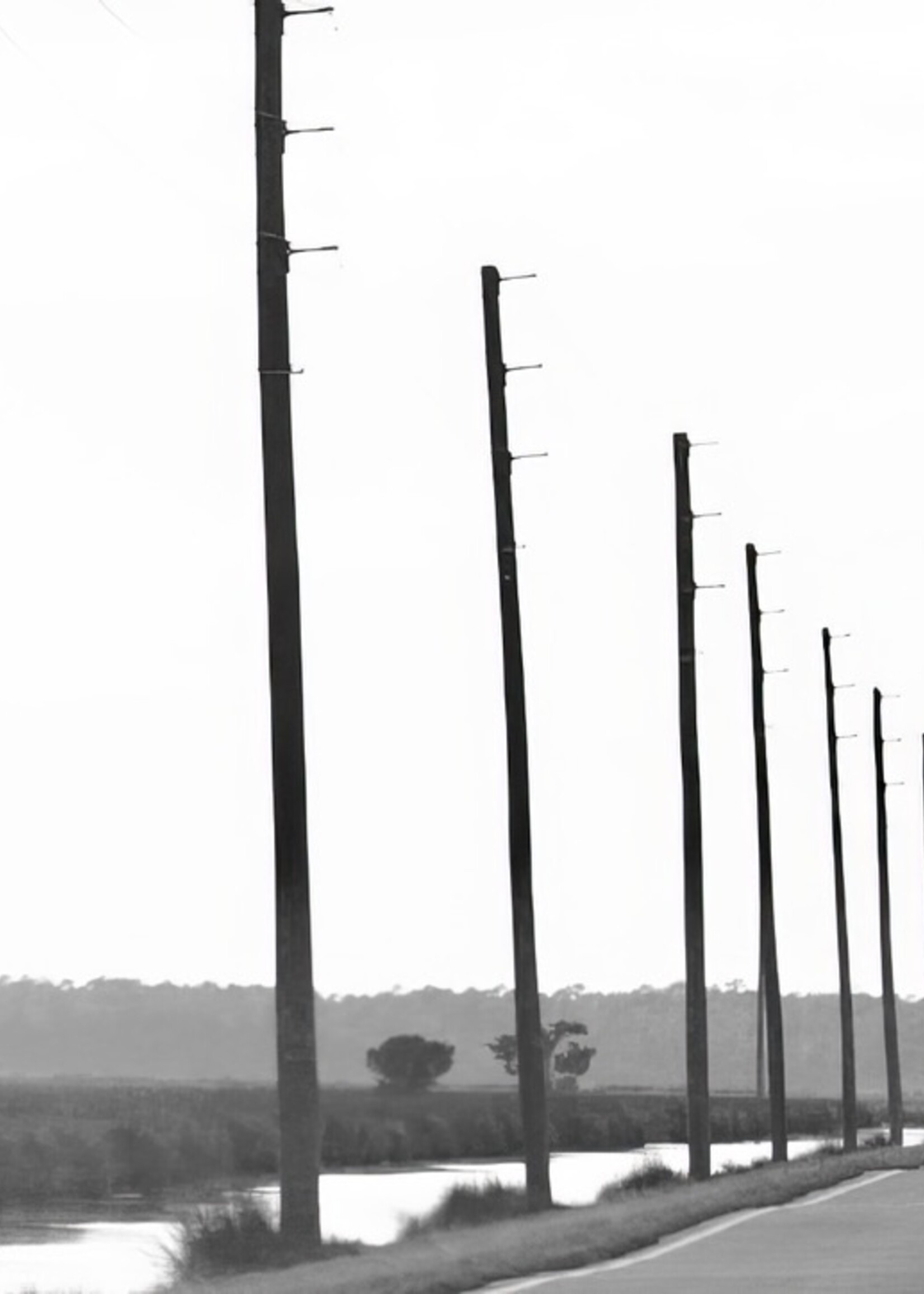 Muse Gallery Highway 12 by Cindy K. Smith