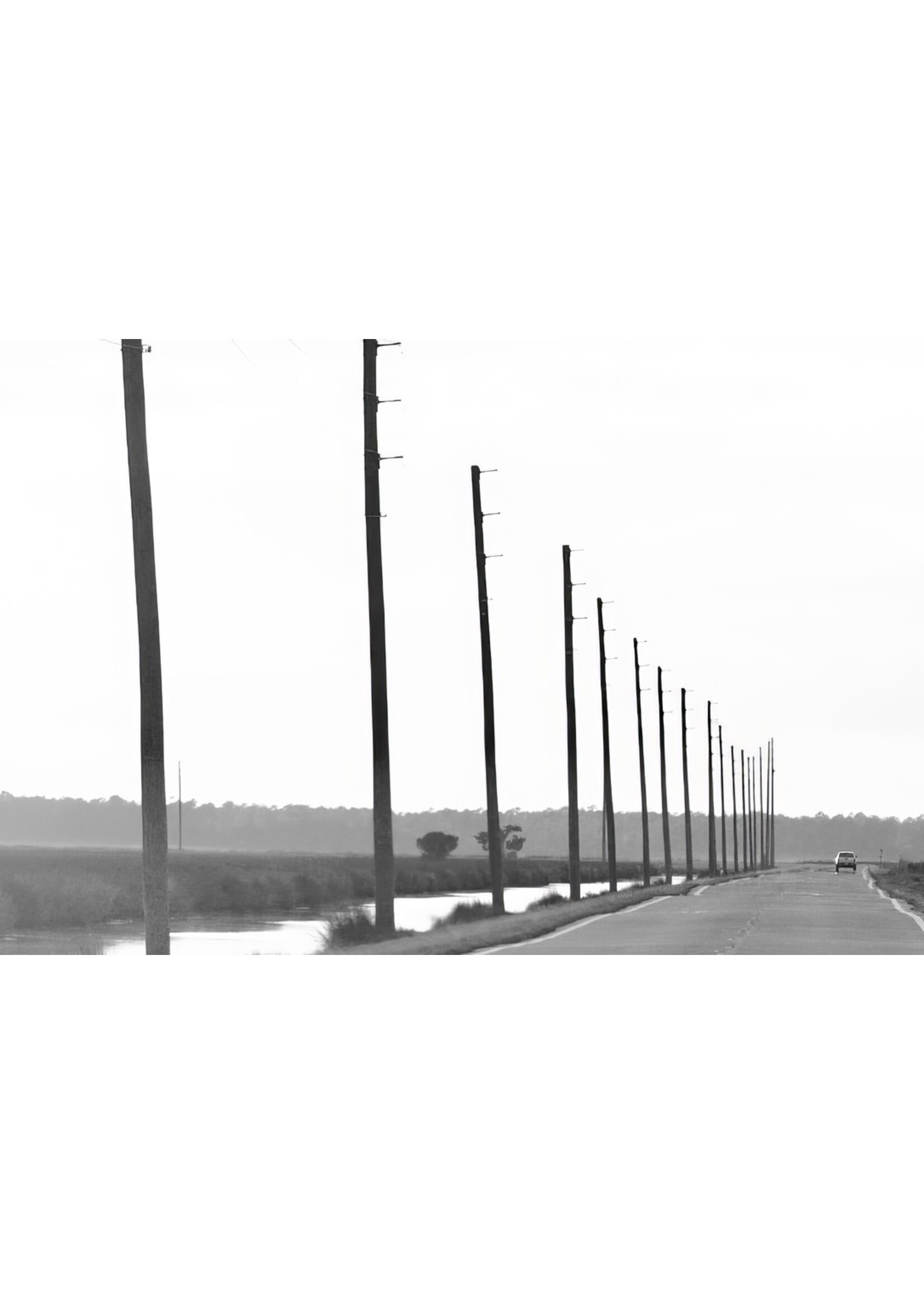 Muse Gallery Highway 12 by Cindy K. Smith