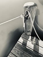 Muse Gallery Holding Tight by Cindy K. Smith