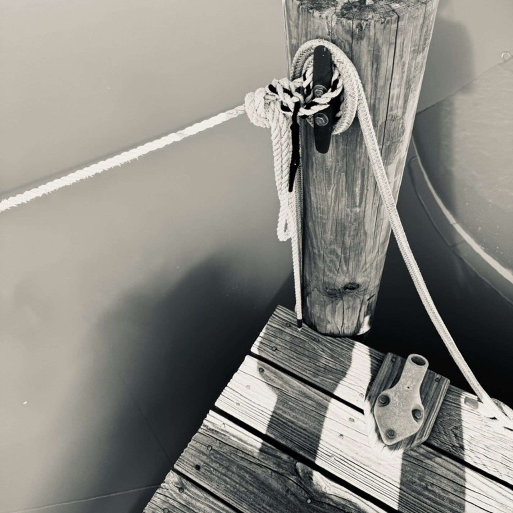 Muse Gallery Holding Tight by Cindy K. Smith