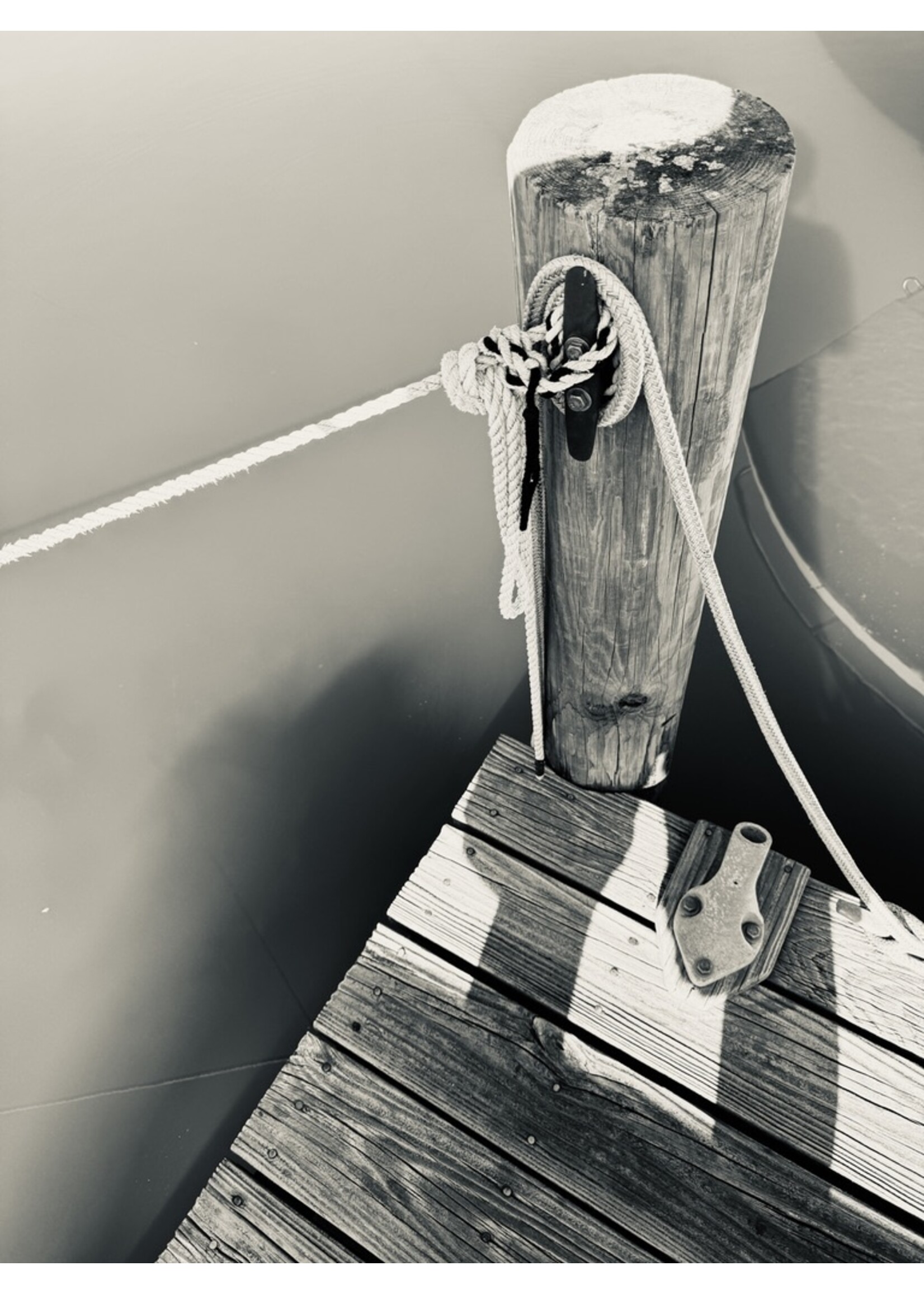 Muse Gallery Holding Tight by Cindy K. Smith