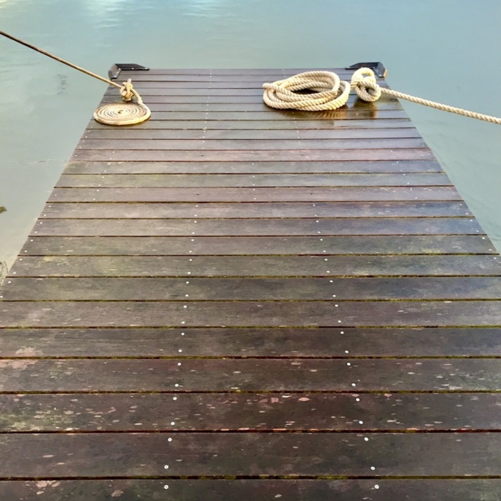 Muse Gallery Long Morning Dock by Cindy K. Smith