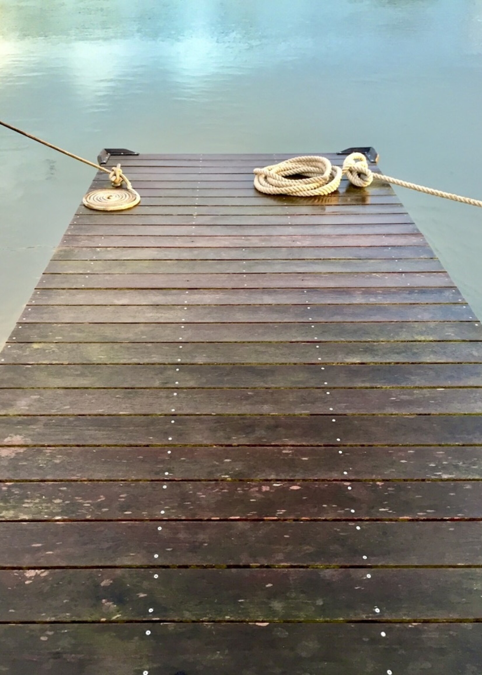 Muse Gallery Long Morning Dock by Cindy K. Smith