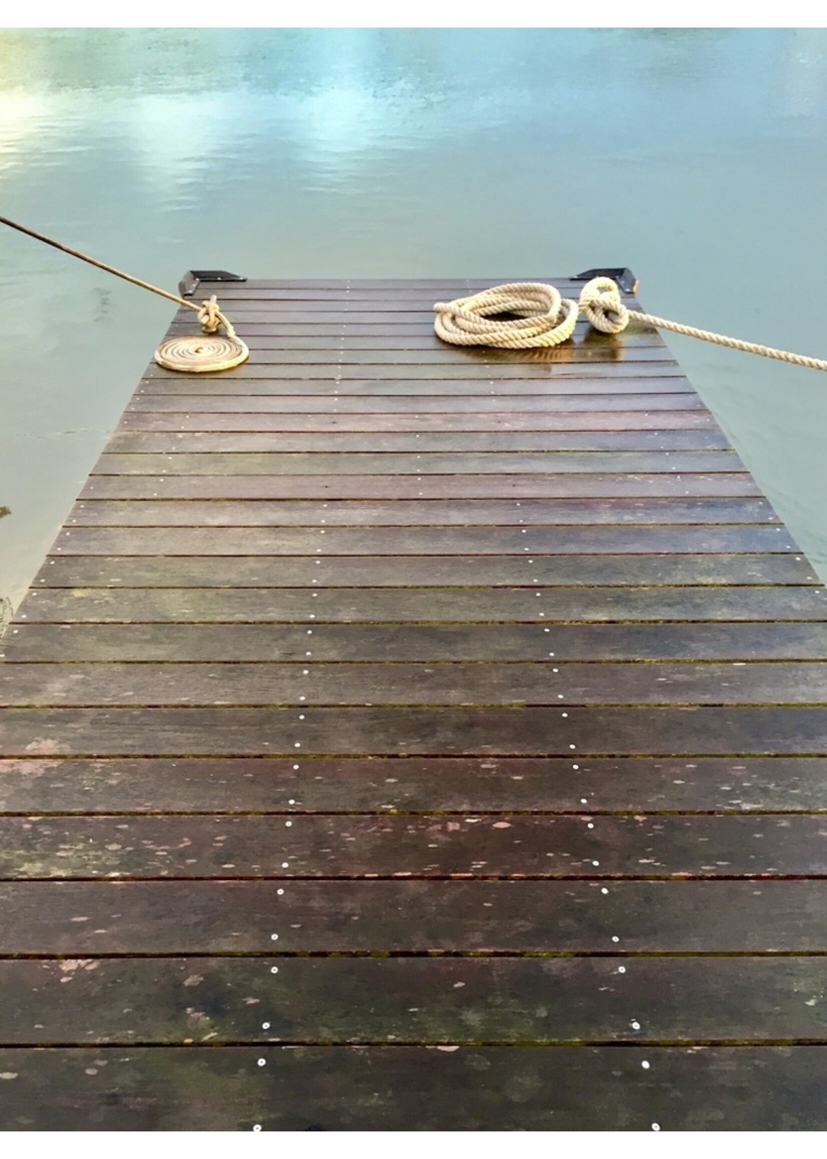 Muse Gallery Long Morning Dock by Cindy K. Smith