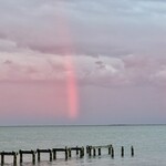 Muse Gallery Pink Light Stream by  Cindy K. Smith