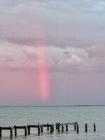 Muse Gallery Pink Light Stream by  Cindy K. Smith