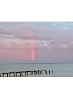 Muse Gallery Pink Light Stream by  Cindy K. Smith