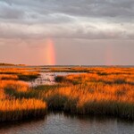 Muse Gallery Vertical Bow Light Stream  by Cindy K. Smith