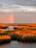 Muse Gallery Vertical Bow Light Stream  by Cindy K. Smith