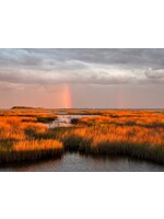 Muse Gallery Vertical Bow Light Stream  by Cindy K. Smith