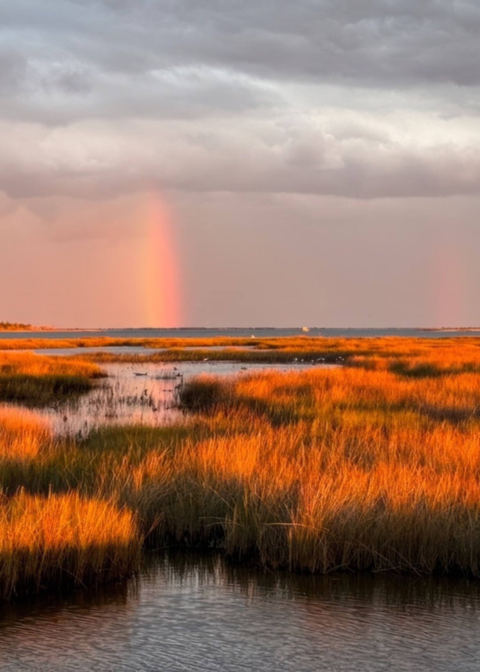 Muse Gallery Vertical Bow Light Stream  by Cindy K. Smith