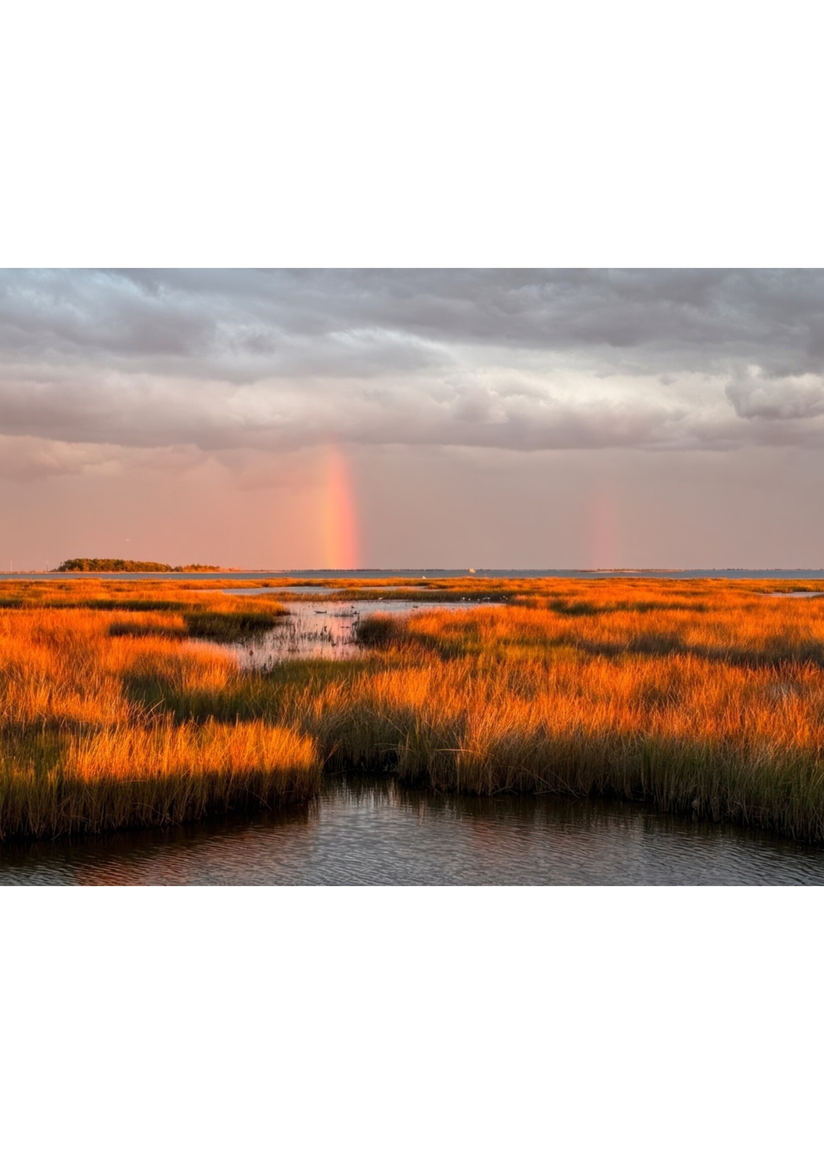 Muse Gallery Vertical Bow Light Stream  by Cindy K. Smith