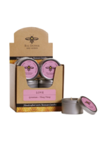 Big Dipper Wax Works Big Dipper 1.7 oz Mini Candle Tin Love