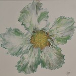 Cheas Art Verdant Whisper Cheas Art 24x24 Muse Gallery