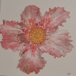 Cheas Art Crimson Blossom Cheas Art 24x24 Muse Gallery