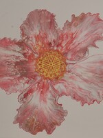 Cheas Art Crimson Blossom Cheas Art 24x24 Muse Gallery