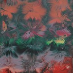 Cheas Art Fireworks Cheas Art 10x20 Muse Gallery
