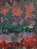 Cheas Art Fireworks Cheas Art 10x20 Muse Gallery
