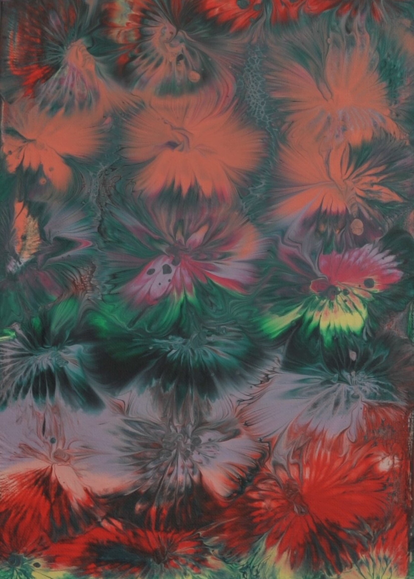 Cheas Art Fireworks Cheas Art 10x20 Muse Gallery
