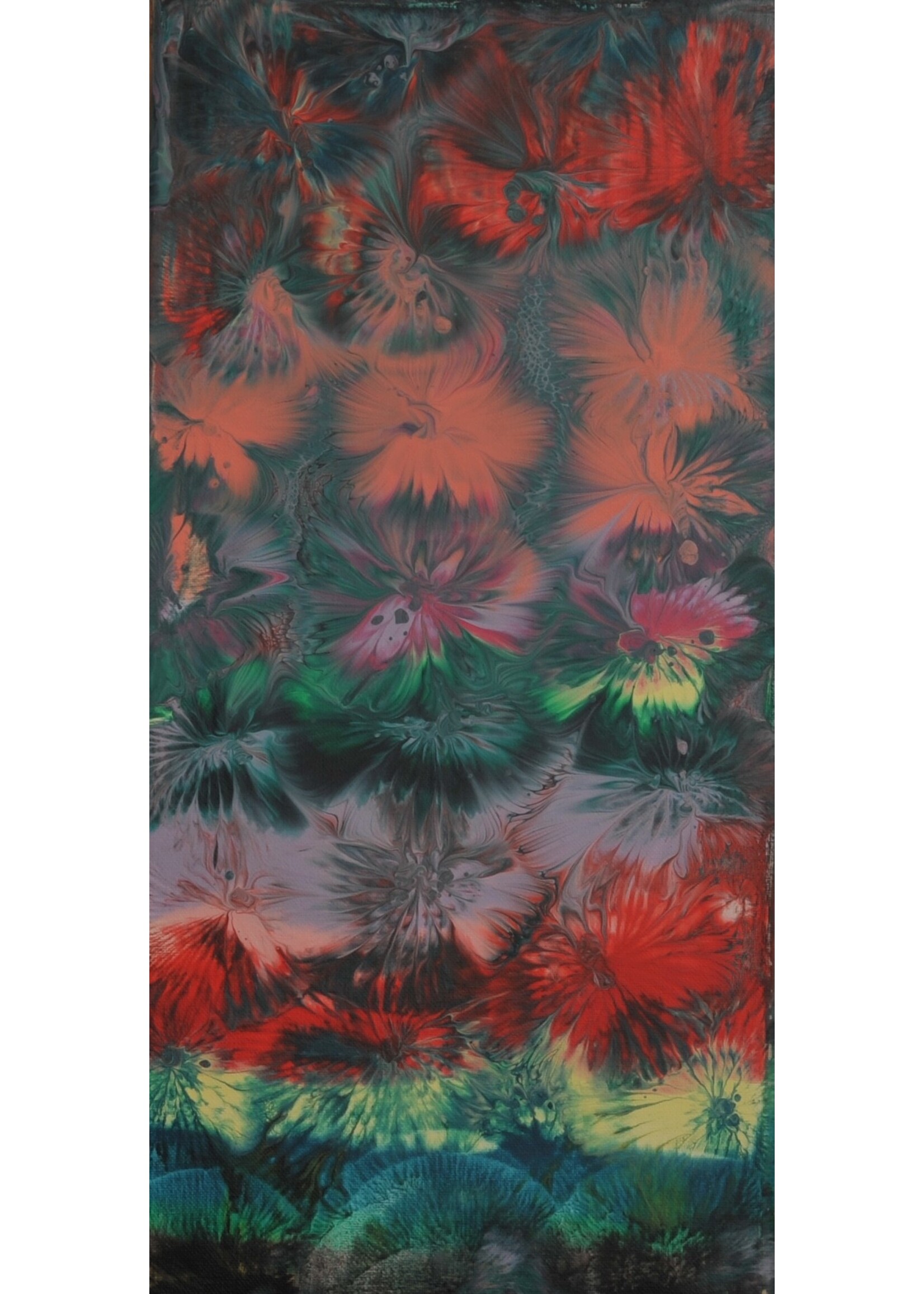 Cheas Art Fireworks Cheas Art 10x20 Muse Gallery