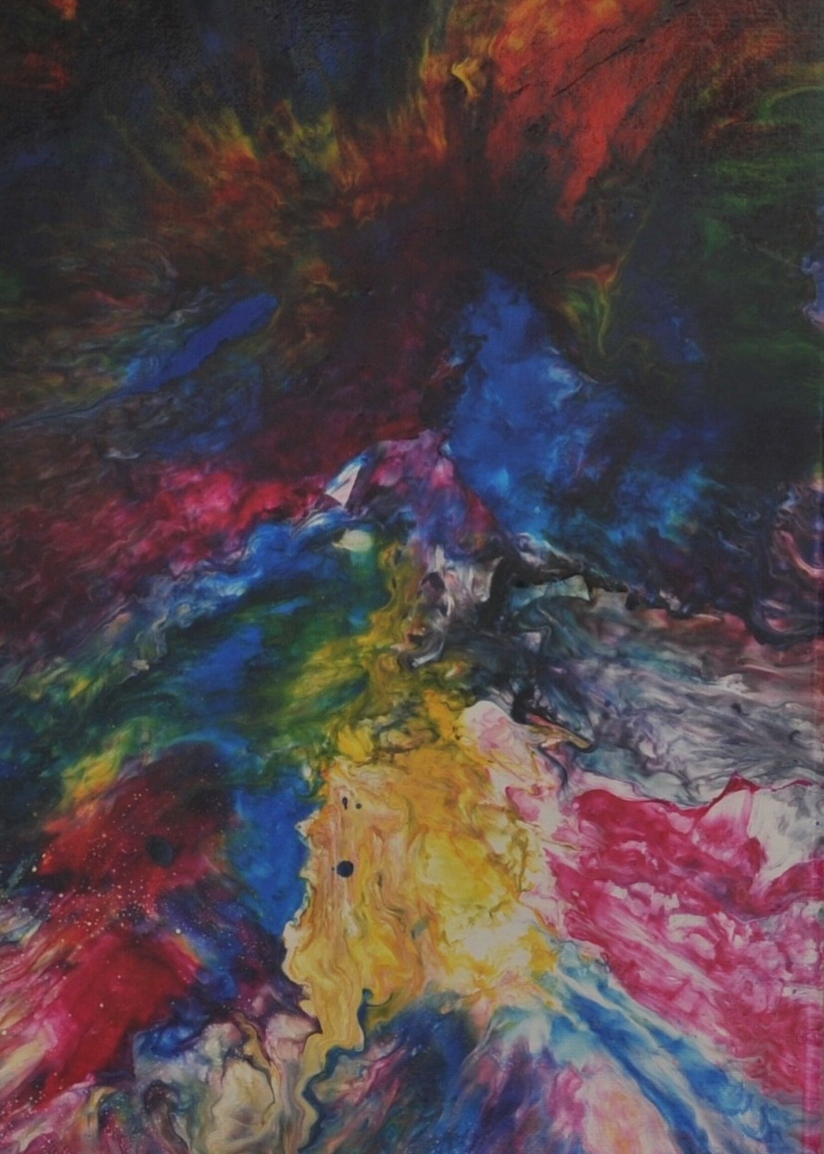 Cheas Art Estallido de Colores Cheas Art 10x20 Muse Gallery