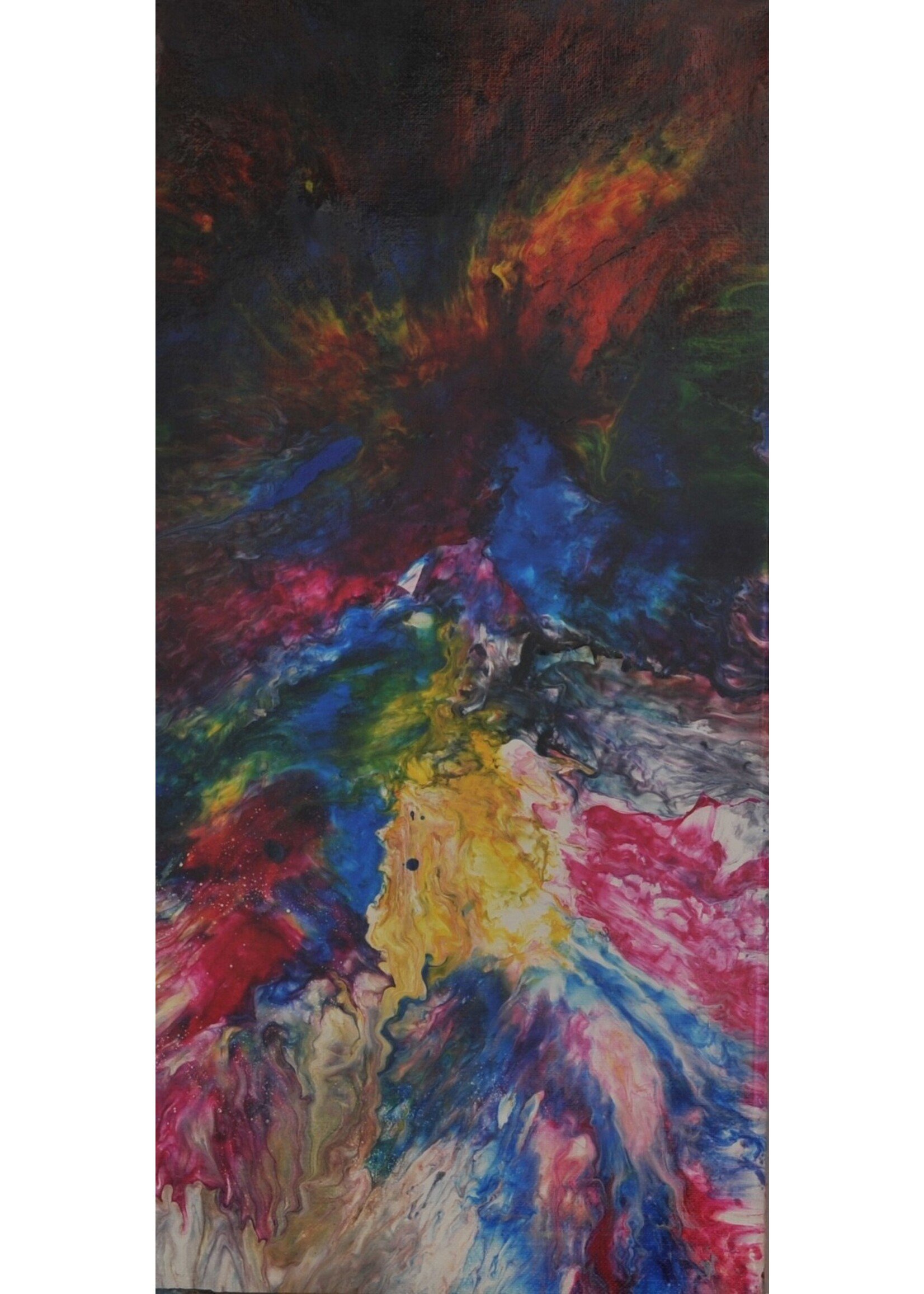 Cheas Art Estallido de Colores Cheas Art 10x20 Muse Gallery