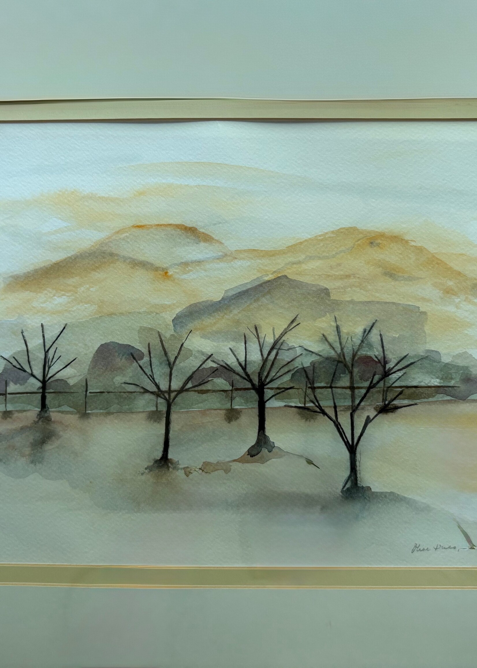 Rachel Mills Olive Trees, Livermore 18 x 21 Muse Gallery