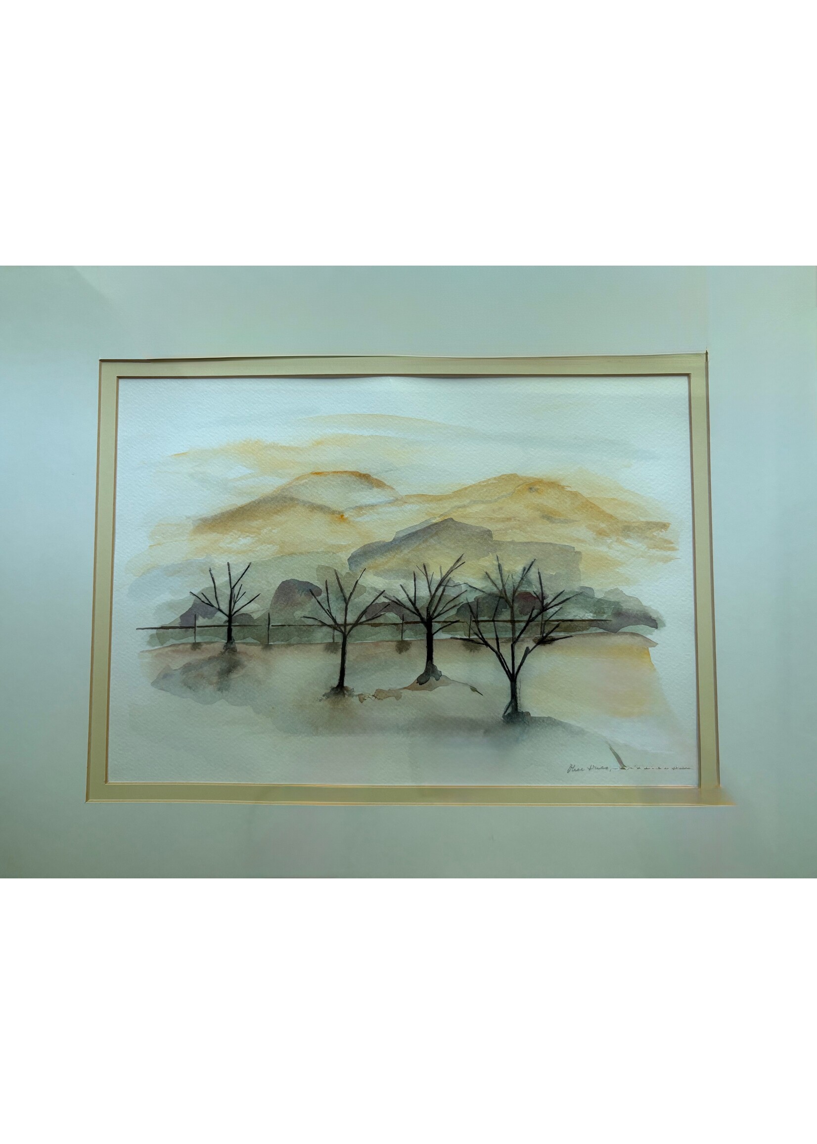 Rachel Mills Olive Trees, Livermore 18 x 21 Muse Gallery