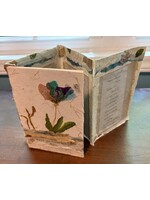 Rachel Mills  What we Leave Behind Handmade Book 8 x 6 Muse Gallery