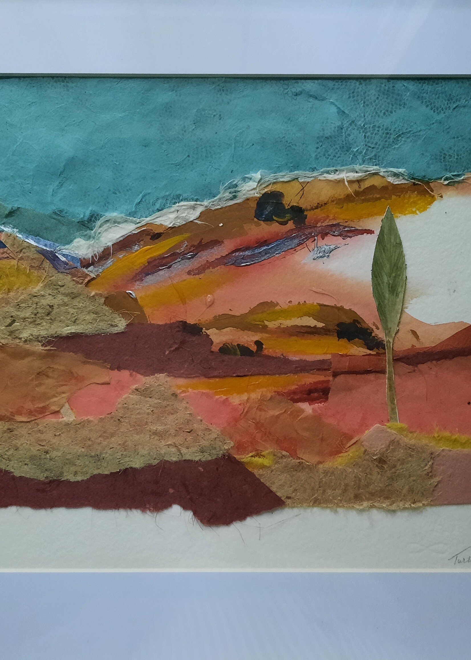 Rachel Mills Turtle in a Dry Land 16 x 20 Muse Gallery