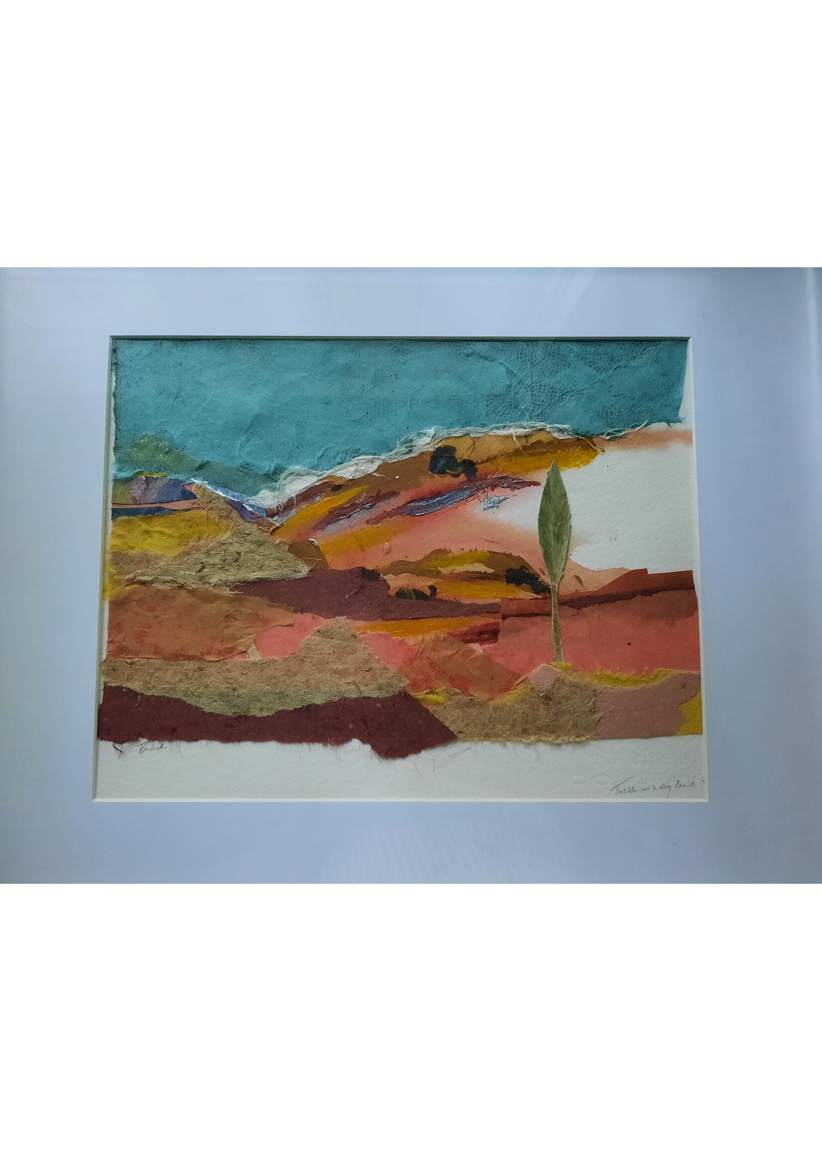 Rachel Mills Turtle in a Dry Land 16 x 20 Muse Gallery