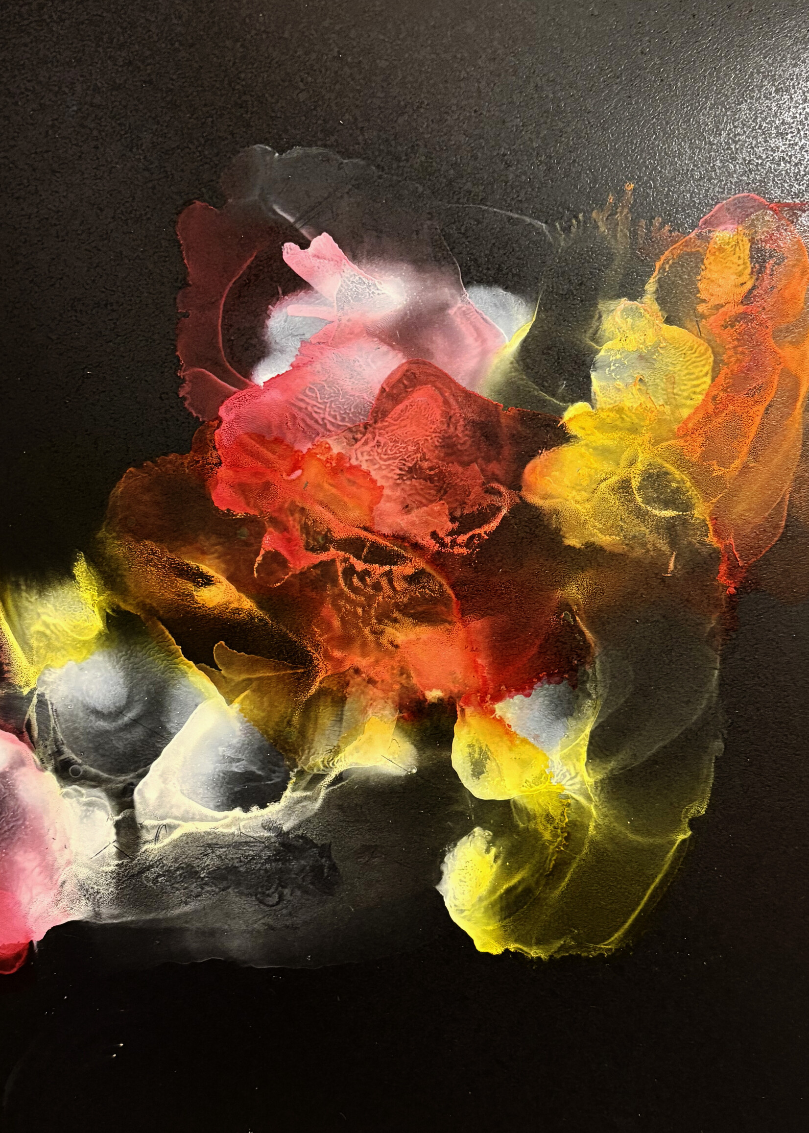 Holly Burnham Noble Gases 12 x 12 Muse Gallery