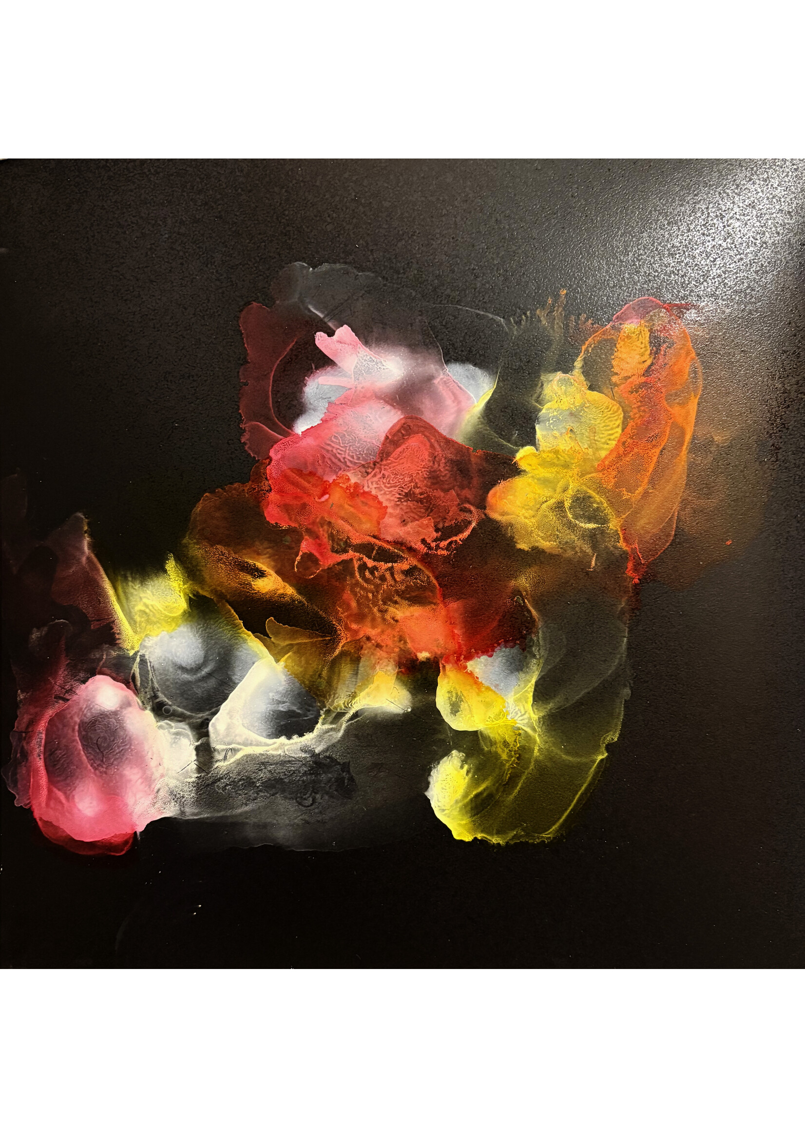 Holly Burnham Noble Gases 12 x 12 Muse Gallery