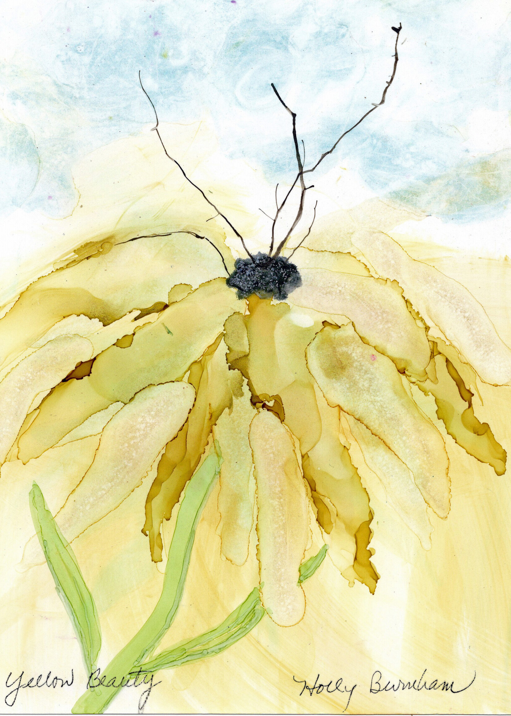 Holly Burnham Yellow Beauty 8 x 10 Muse Gallery