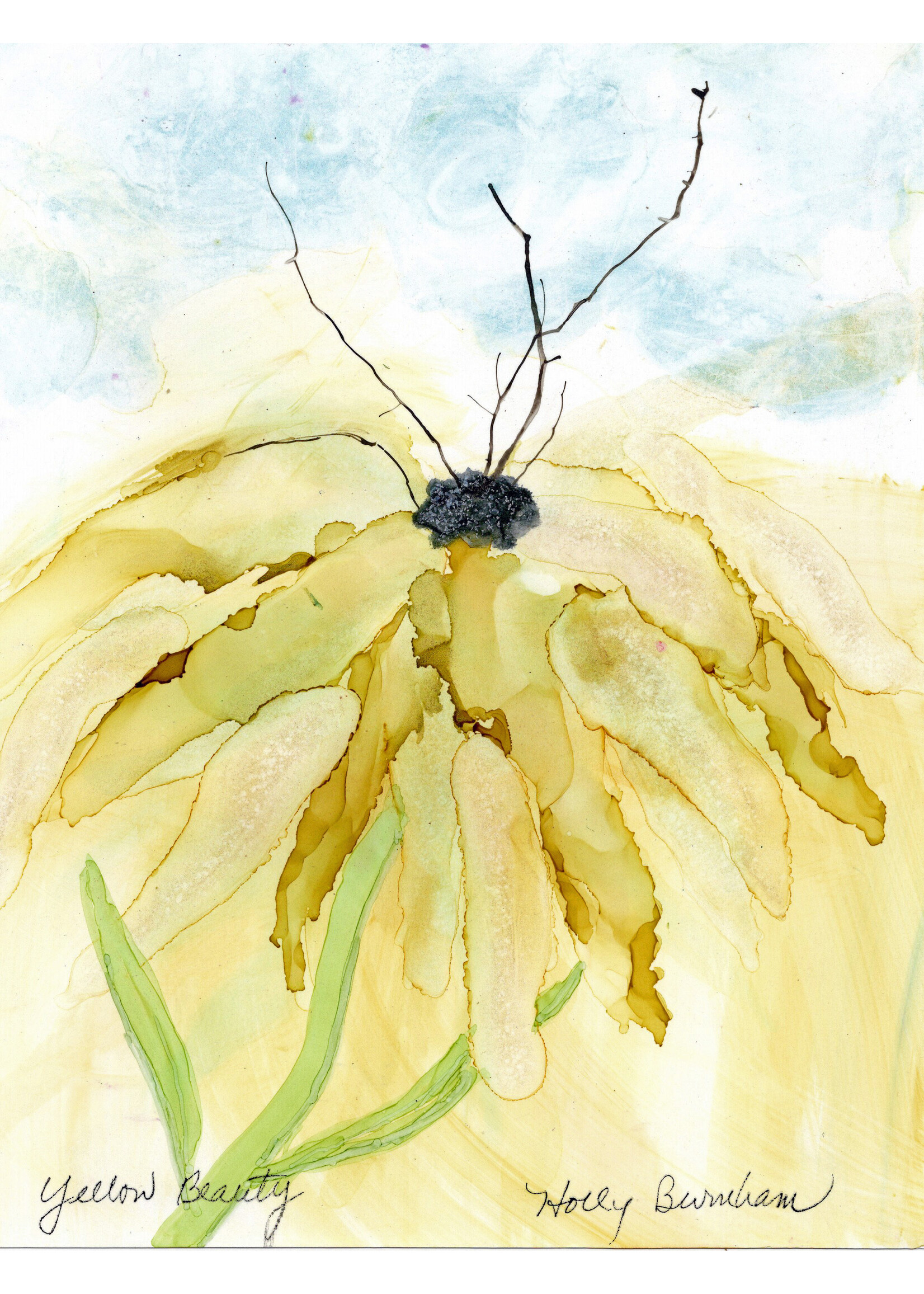 Holly Burnham Yellow Beauty 8 x 10 Muse Gallery