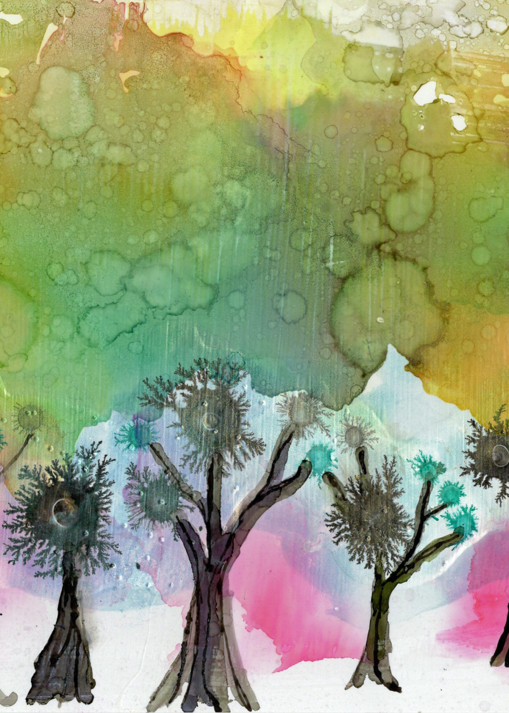 Holly Burnham Greetings from the Forest People 10 x 6 Muse Gallery