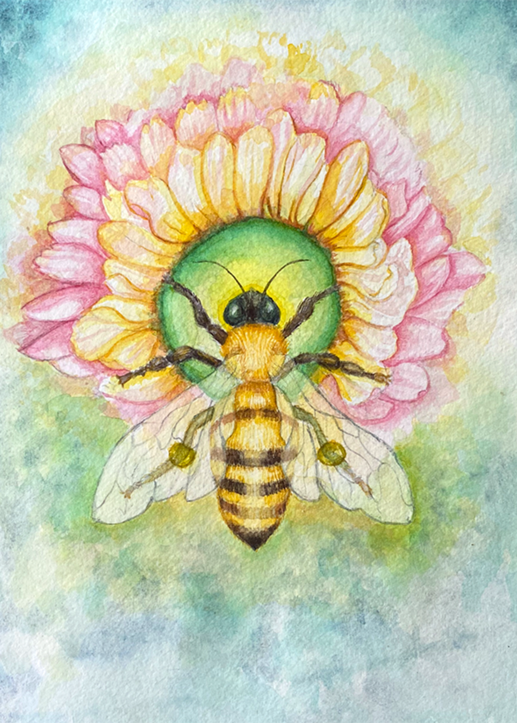 My Muses Card Shop My Muses Card Shop Beewonderment Greeting Cards