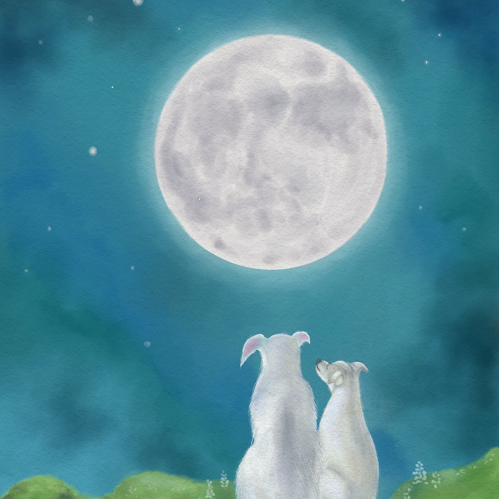 My Muses Card Shop My Muses Card Shop Harvest Moon Greeting Cards