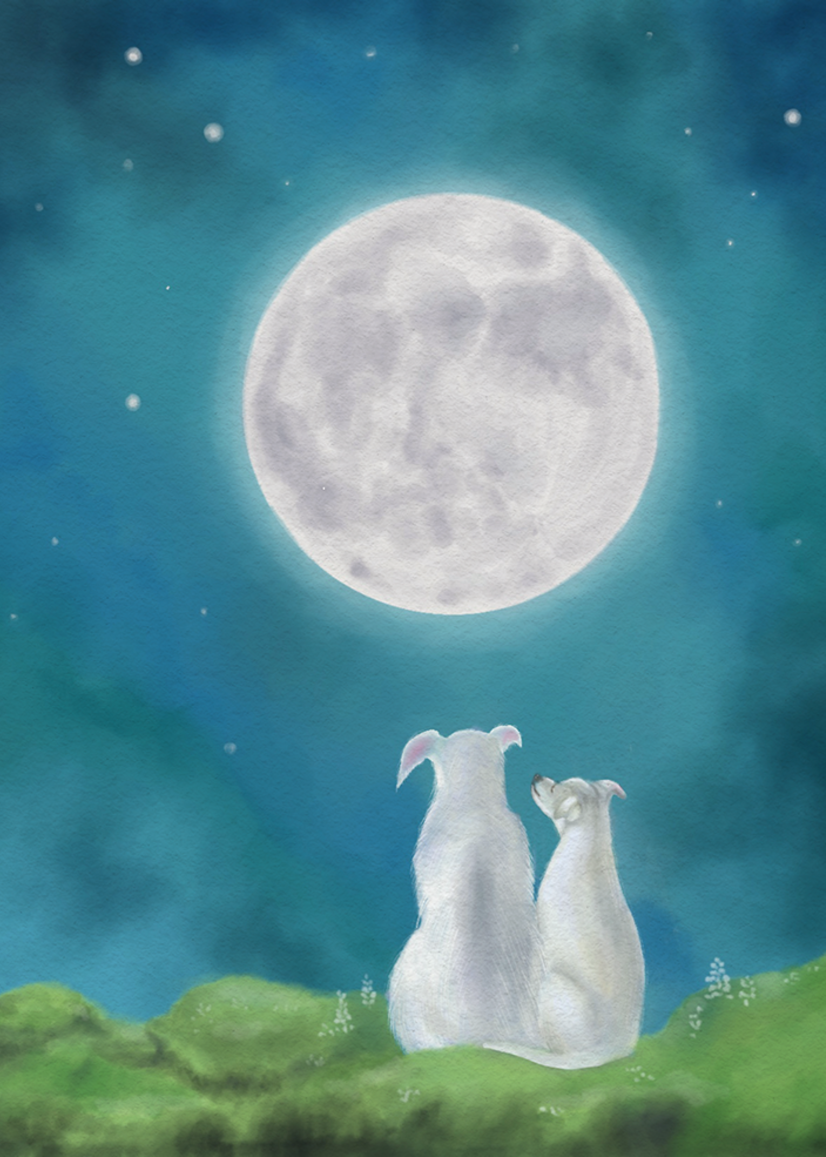 My Muses Card Shop My Muses Card Shop Harvest Moon Greeting Cards