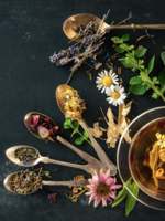 The Art of Herbal Tea ( Nov 9th 2025 )