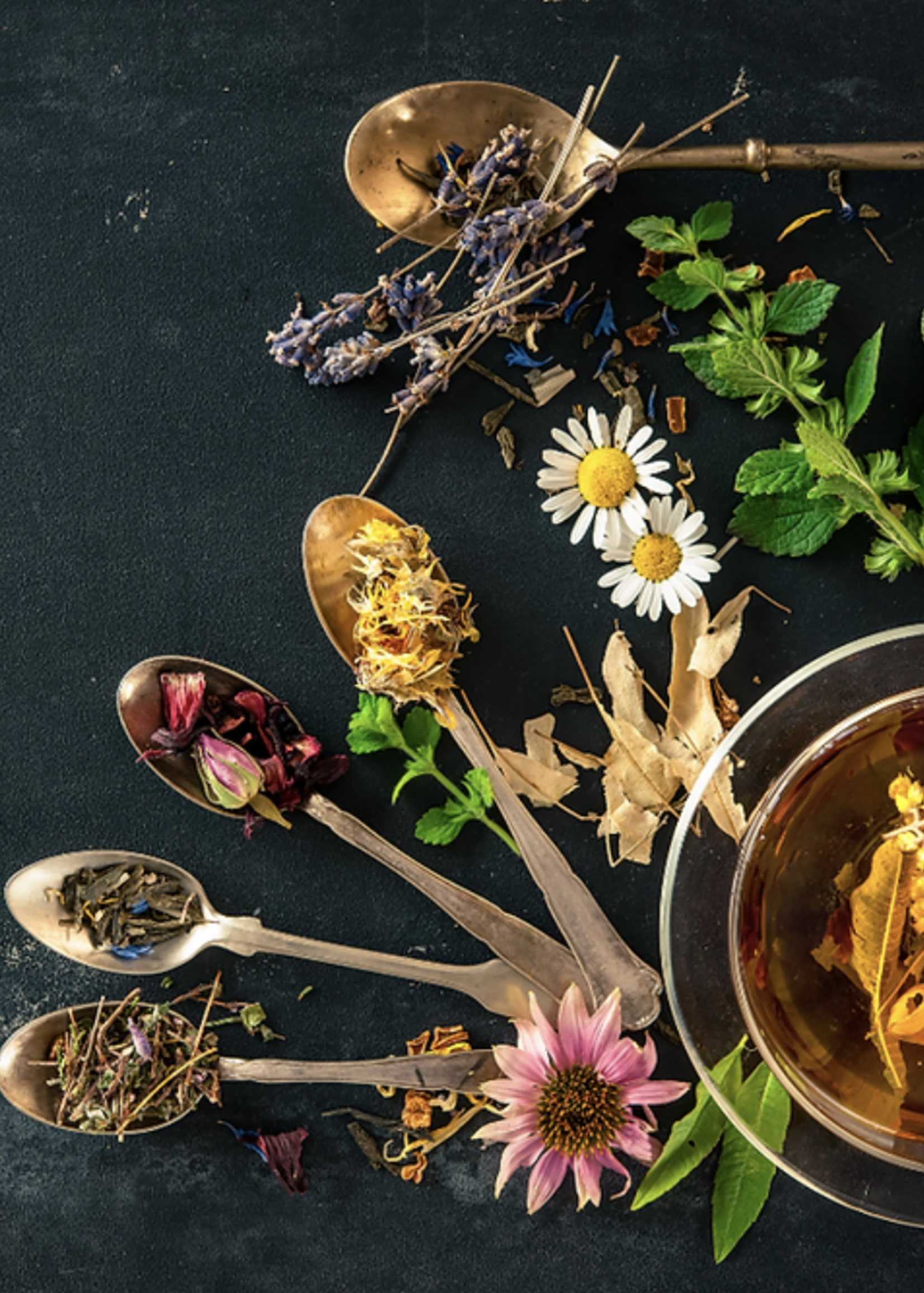 The Art of Herbal Tea  ( Nov 9th 2025 )