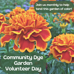 My Muses Card Shop Community Dye Garden Volunteer Day (March 15th 2026)