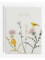 june & december card thistle + finch sunshine
