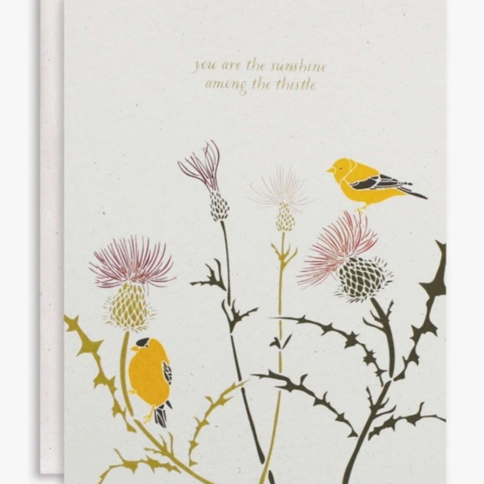 june & december card thistle + finch sunshine