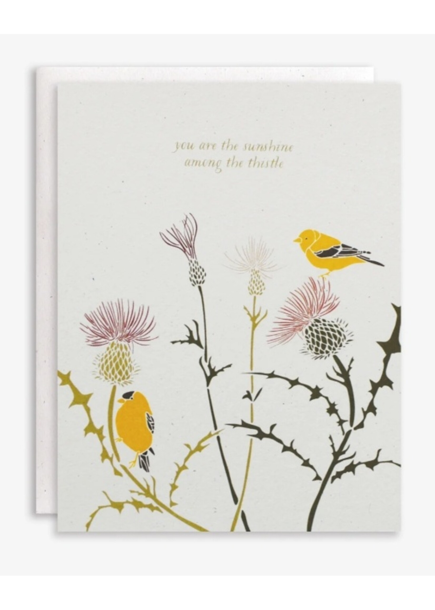june & december card thistle + finch sunshine