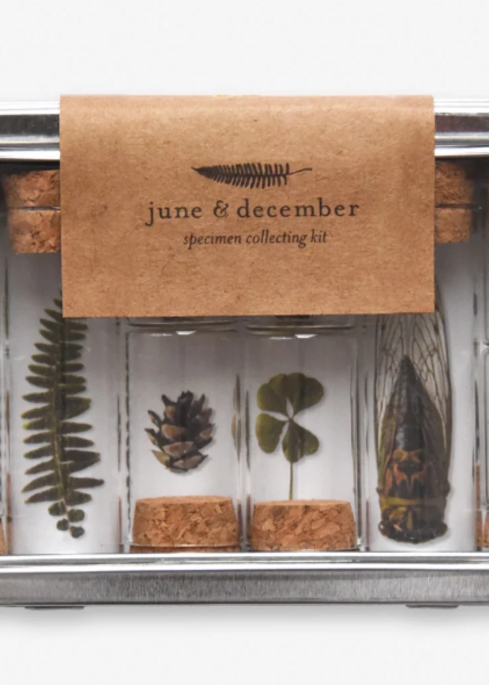 june & december specimen collecting kit