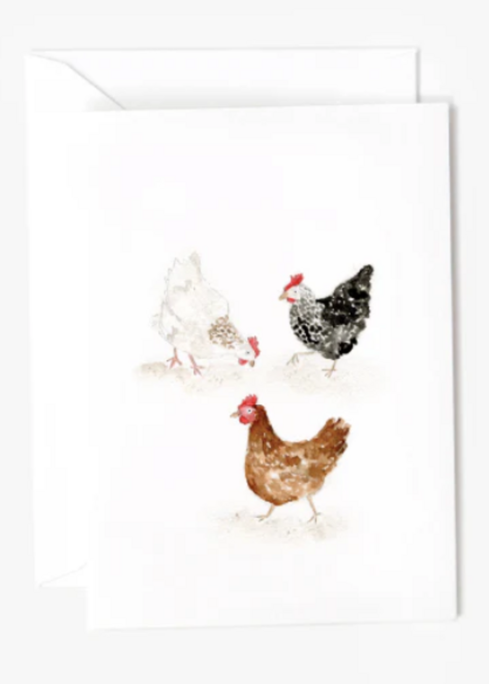 Emily lex studio Emily lex studio mini notecards assorted