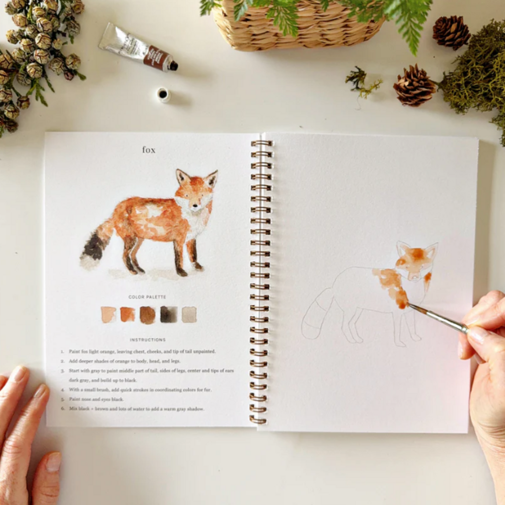Emily lex studio Emily lex studio Woodland watercolor workbook